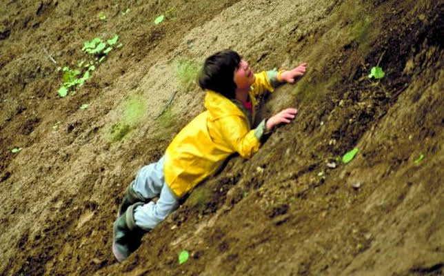 Sunny Besen Thrasher