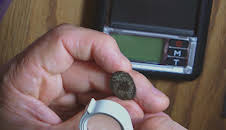 Die Schatzsucher von Oak Island