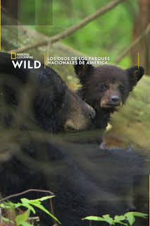 10:35: Los Osos de los Parques Nacionales de America | Nat Geo Wild | 3/29 2026