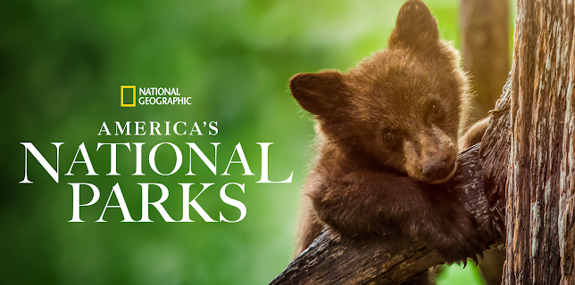 11:00 AM: America's National Parks | Nat Geo Wild | 2/26 2026