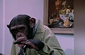 Lancelot Link: Secret Chimp: Lancelot Link: Secret Chimp - Chump Takes a Holiday / To Tell the Tooth