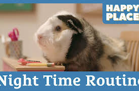 Happy Place: Nighttime Routine