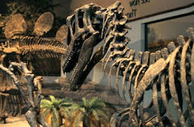 Vår fascinerande värld: Den stora utrotningen