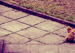 The Madeleine McCann Mystery