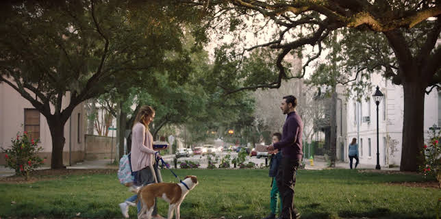 Love to the Rescue (2019)