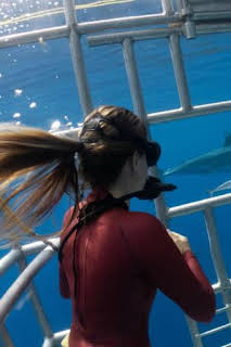 18:52: Gàdor i els taurons | Canal 33 | 1/12 2026