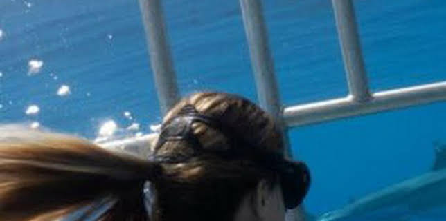 12:52: Gàdor i els taurons | Canal 33 | 1/9 2026