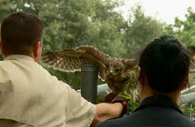 Lone Star Law Season 1: Out for Blood