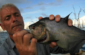 River Monsters: Amazon Assassins