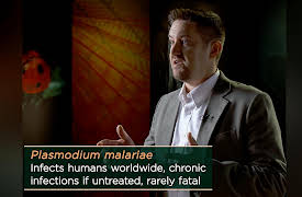 Why Insects Matter: Earth’s Most Essential Species: Insect-Borne Disease