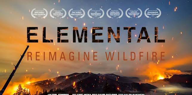 Elemental: Reimagine Wildfire (2023)