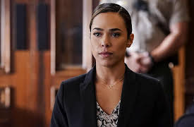 All Rise: Season 1: Long Day's Journey into ICE