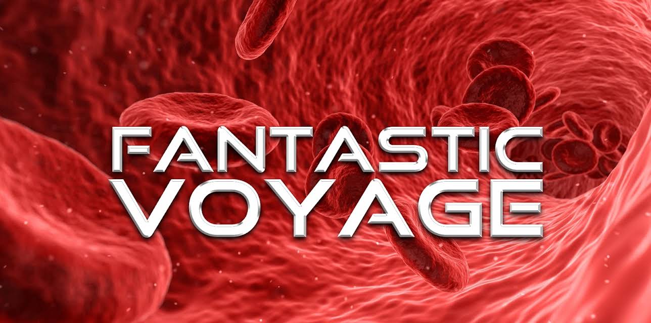 Fantastic Voyage (2022)