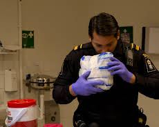 Gränsbevakarna Sverige