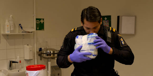 12:15: Grensevakten Sverige (S3 E9) (S3) | Discovery Channel | 11/17 2025