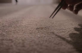 Manhunt: Chasing The Fox: Episode 1