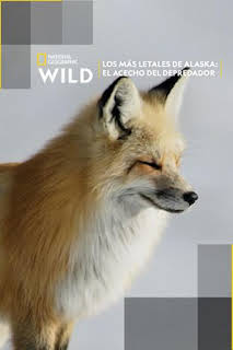 13:10: Los más letales de Alaska: el acecho del depredador | Nat Geo Wild | 2/26 2026