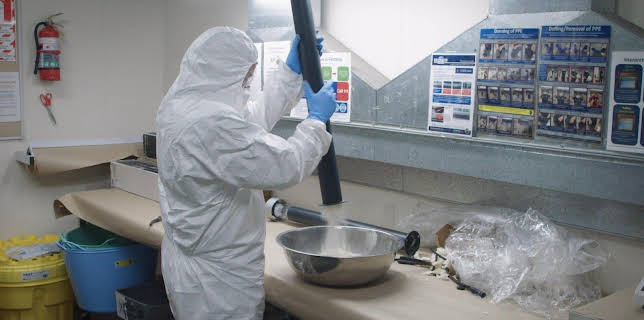 11:50: Border Patrol New Zealand | ProSieben Maxx | 1/7 2026