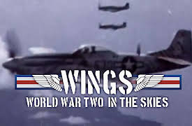 Wings: World War Two in the Skies: The Fight Back