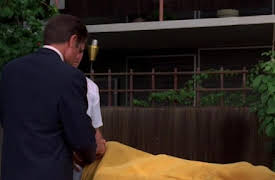 Hawaii Five-O (Classic) Season 1: One for the Money