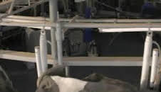 ¿Cómo lo hacen?: Episodio 12