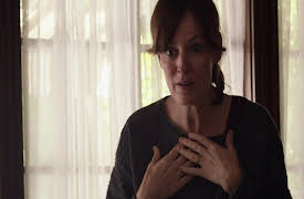 Little Fires Everywhere: Picture Perfect