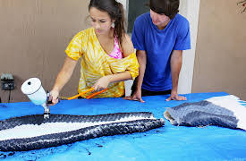 I Am Jazz Season 1: "We Don't Read the Comments"