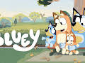 Bluey: Ridehest
