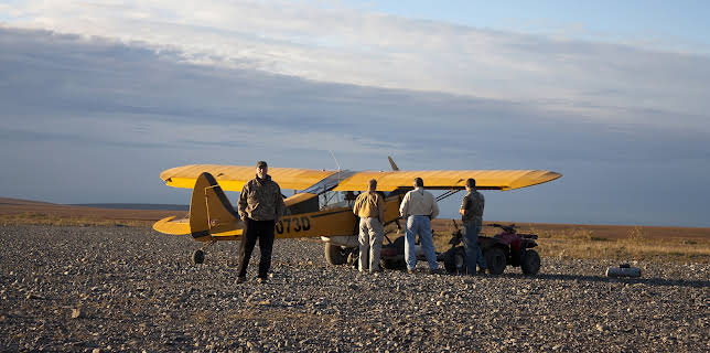 21:00: Flying Wild Alaska (S1 E2) (S1) | Animal Planet | 12/31 2025