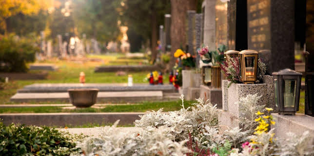 23:00: alpha-demokratie weltweit | ARD Alpha | 3/5 2026