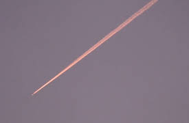 W Domu (At Home Poland): Hide Me on the Plane to Marrakesh