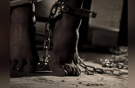 Escaped Season 1: Cellar of Terror