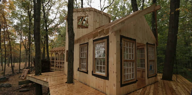 00:45: Hus i tretoppene (S3 E15) (S3) | Animal Planet | 11/12 2025