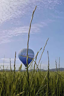 16:41: Globus sonda: Enric Massip - plana de l'Ebre | Canal 33 | 9/7 2026