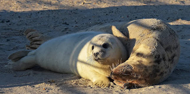 23:30: Weltbilder | Radio Bremen | 2/3 2026
