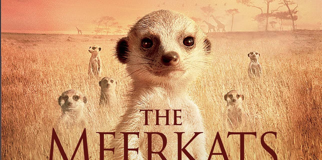 The Meerkats (2008)
