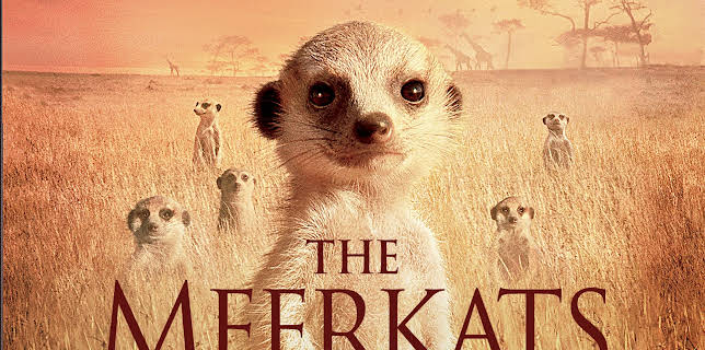 The Meerkats (2008)