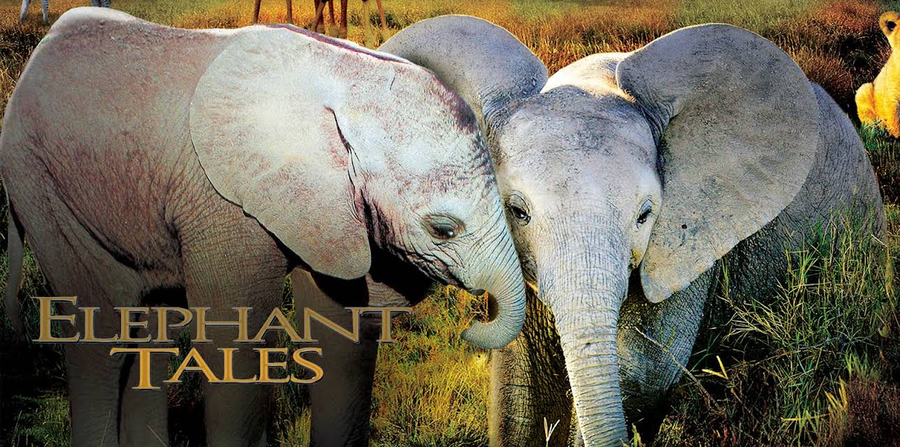 Elephant Tales (2006)