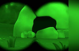 Leo The Wildlife Ranger: Dawn Bat