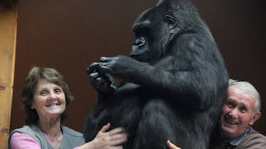 00:00: Preposterous Pets (S1 E5) (S1) | Animal Planet | 4/23 2026