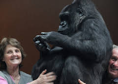 Preposterous Pets