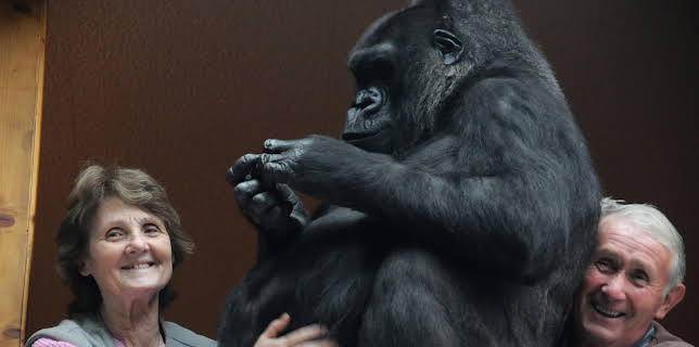 07:40: Preposterous Pets (S1 E5) (S1) | Animal Planet | 1/23 2026