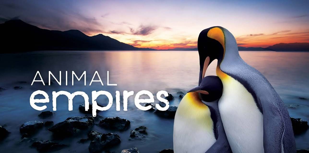 Animal Empires