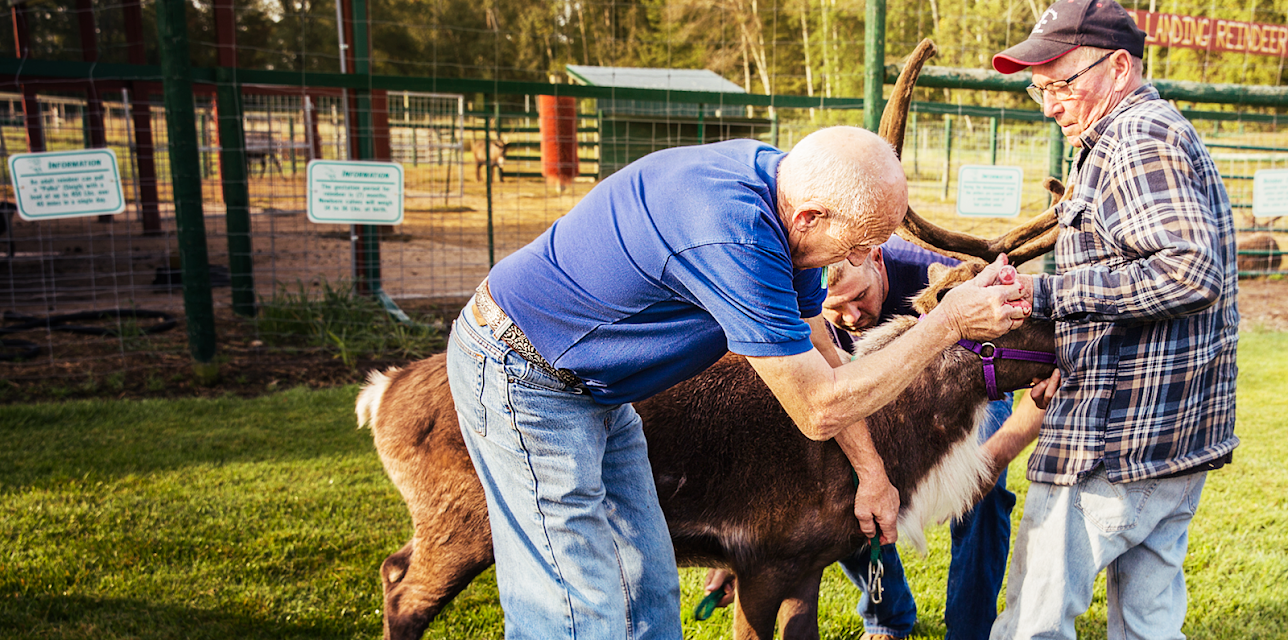 The Incredible Dr. Pol