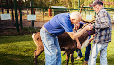 Den otroliga dr Pol (S20 E18)