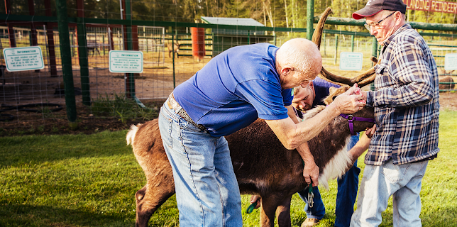 21:40: Den otroliga dr Pol (S21 E7) (S21) | National Geographic Wild | 11/25 2025
