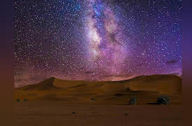 The Great Tours: African Safari: Safari Destinations off the Beaten Path