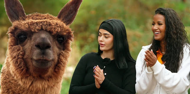 01:00: Reality Backpackers | ProSieben | 1/7 2026