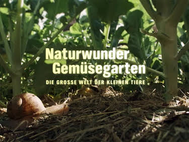 20:15: Naturwunder Gemüsegarten - Die große Welt der kleinen Tiere | SWR Fernsehen RP | 5/10 2026