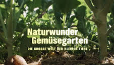 Naturwunder Gemüsegarten - Die große Welt der kleinen Tiere